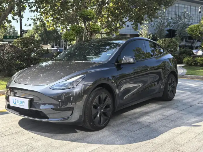 Model Y 2024 Model Rear-wheel drive version – фото 1