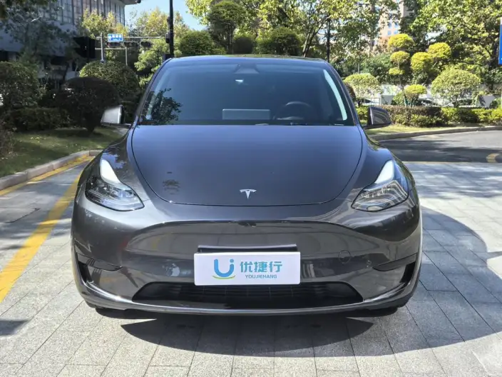 Model Y 2024 Model Rear-wheel drive version – фото 2