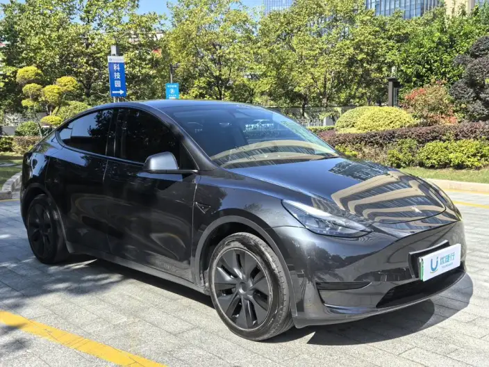 Model Y 2024 Model Rear-wheel drive version – фото 3
