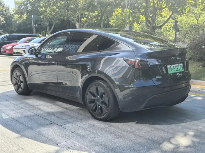 Model Y 2024 Model Rear-wheel drive version – фото 5