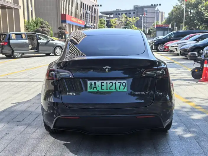 Model Y 2024 Model Rear-wheel drive version – фото 6
