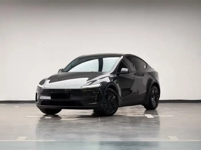 Model Y 2025 Model Long Battery Life Pro All-wheel drive version – фото 1
