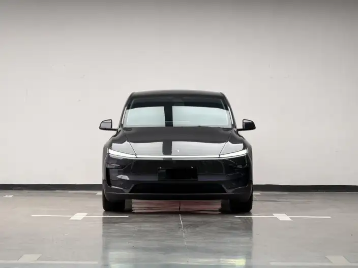 Model Y 2025 Model Long Battery Life Pro All-wheel drive version – фото 2