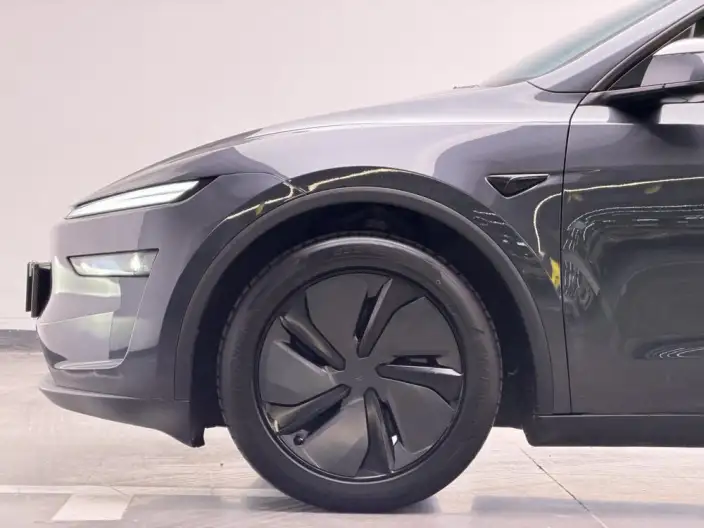 Model Y 2025 Model Long Battery Life Pro All-wheel drive version – фото 3