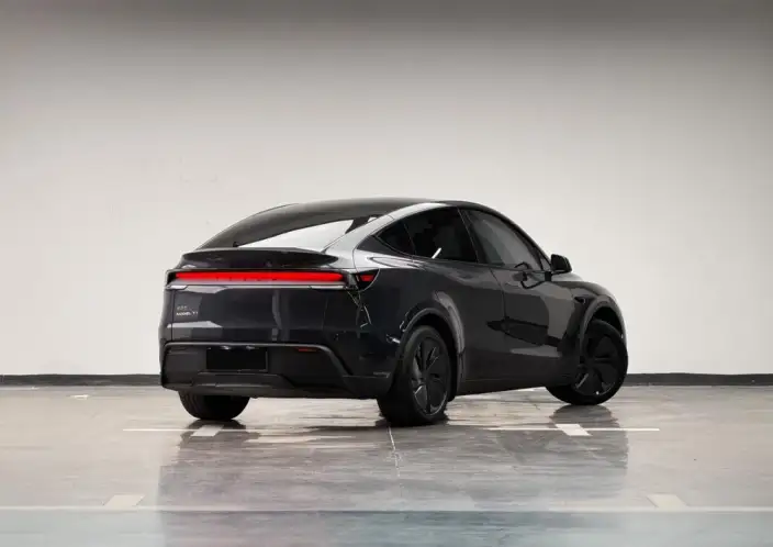 Model Y 2025 Model Long Battery Life Pro All-wheel drive version – фото 5