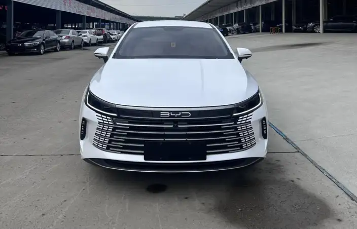 BYD Destroyer 05 2024 Model Honor Edition DM-i 55KM Luxury Model – фото 2