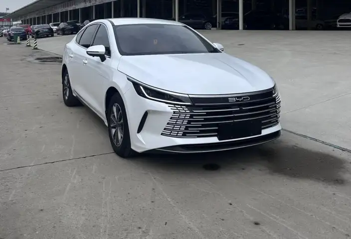 BYD Destroyer 05 2024 Model Honor Edition DM-i 55KM Luxury Model – фото 3