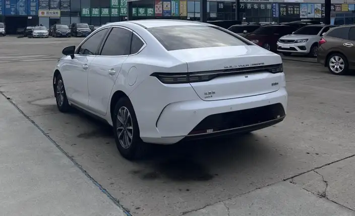 BYD Destroyer 05 2024 Model Honor Edition DM-i 55KM Luxury Model – фото 4