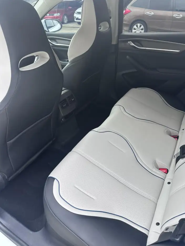 BYD Destroyer 05 2024 Model Honor Edition DM-i 55KM Luxury Model – фото 9