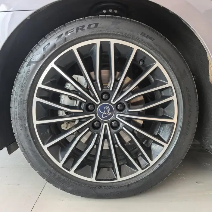 BYD Han DM 2023 Model DM-i Champion Edition 121KM Exclusive Model – фото 5
