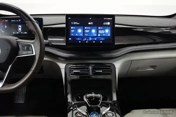 BYD Qin PLUS DM 2024 Model Honor Edition DM-i 55KM Leading Model – фото 9