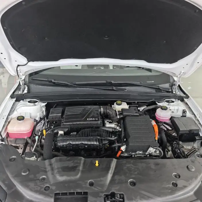 BYD Qin PLUS DM 2023 Model DM-i Champion Edition 55KM Leading Model – фото 6
