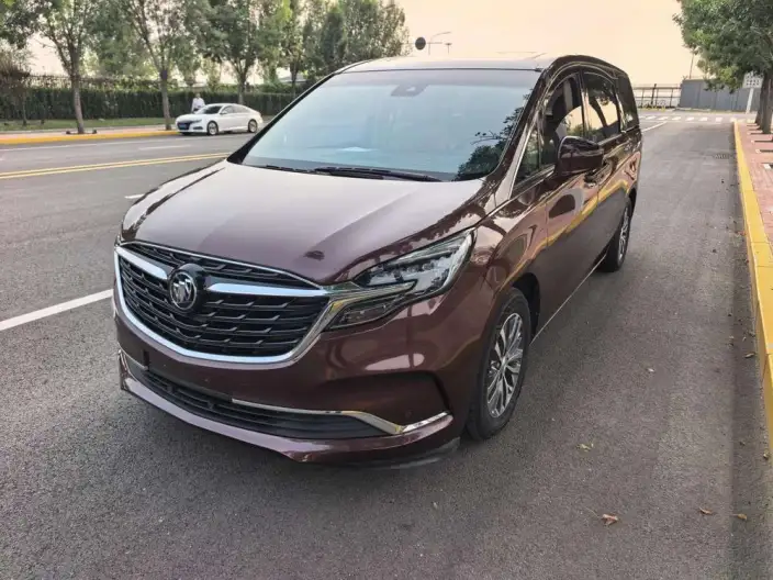 Buick GL8 2022 Model ES Luzun 653T Exclusive Model – фото 1