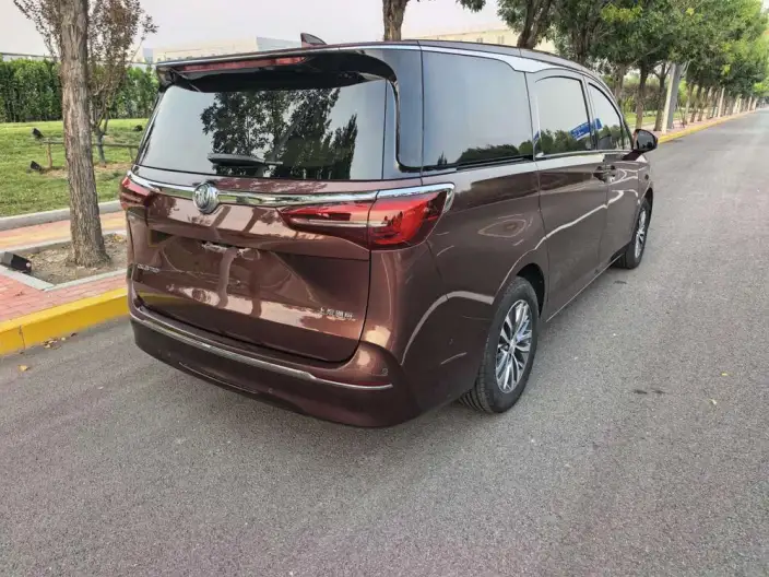 Buick GL8 2022 Model ES Luzun 653T Exclusive Model – фото 4