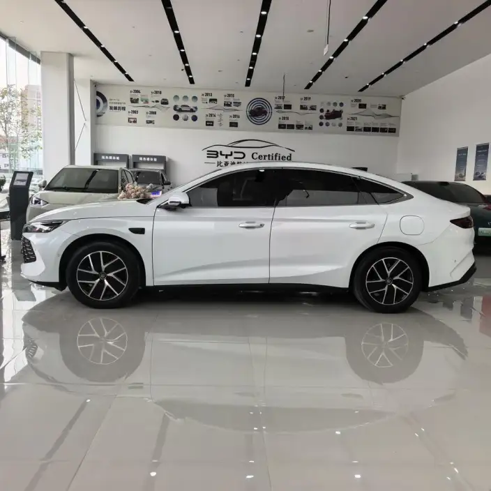 QinL DM 2025 Model Smart Driving Edition DM-i 120KM Leading Model – фото 2