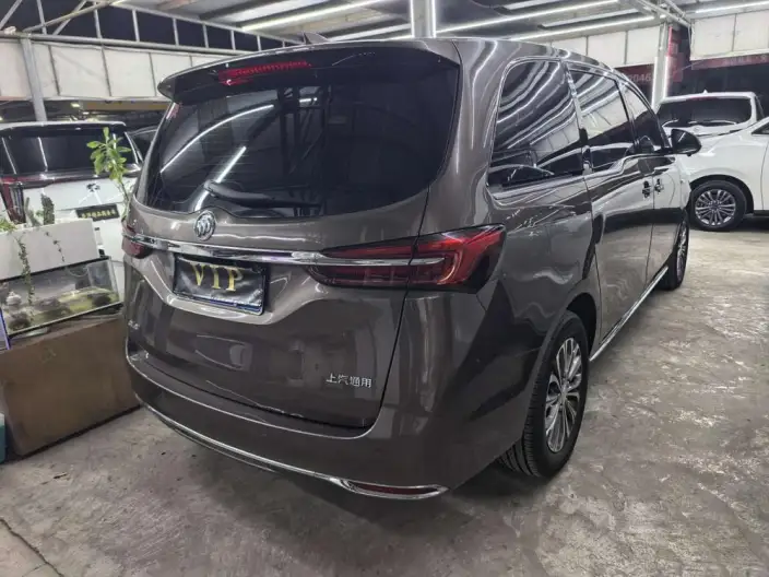 Buick GL8 2023 Model Business class 2.0T Luxury Model – фото 4