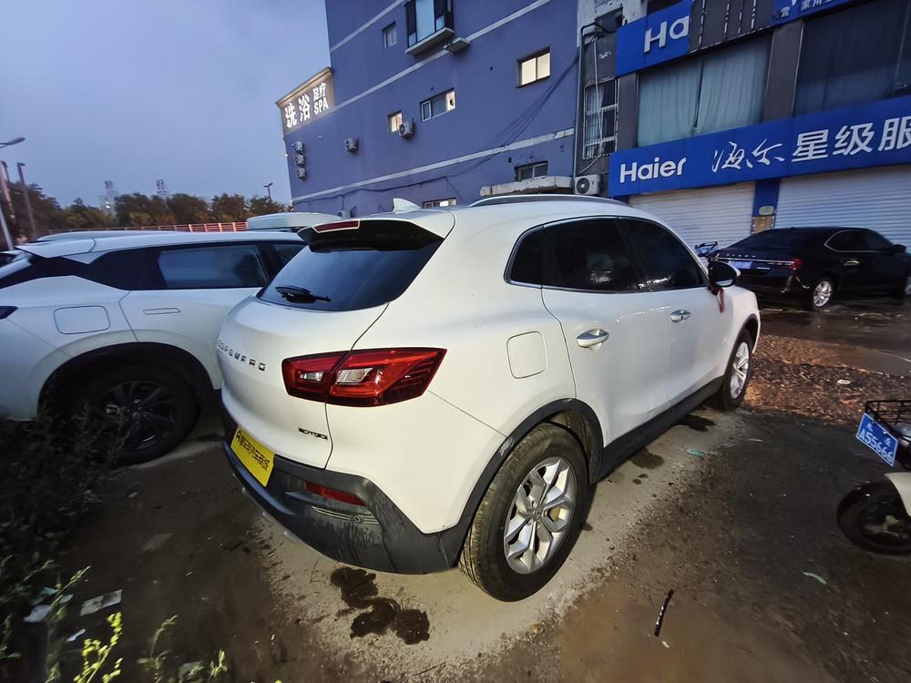 Borgward BX5 2017 20TGDI Automatic 2WD Pioneer