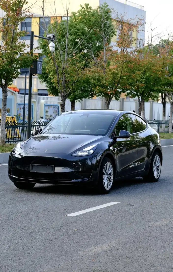 Model Y 2024 Model Rear-wheel drive version – фото 1