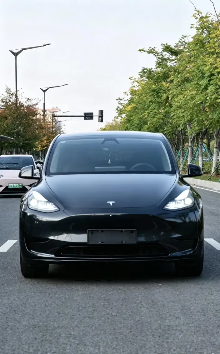 Model Y 2024 Model Rear-wheel drive version – фото 2