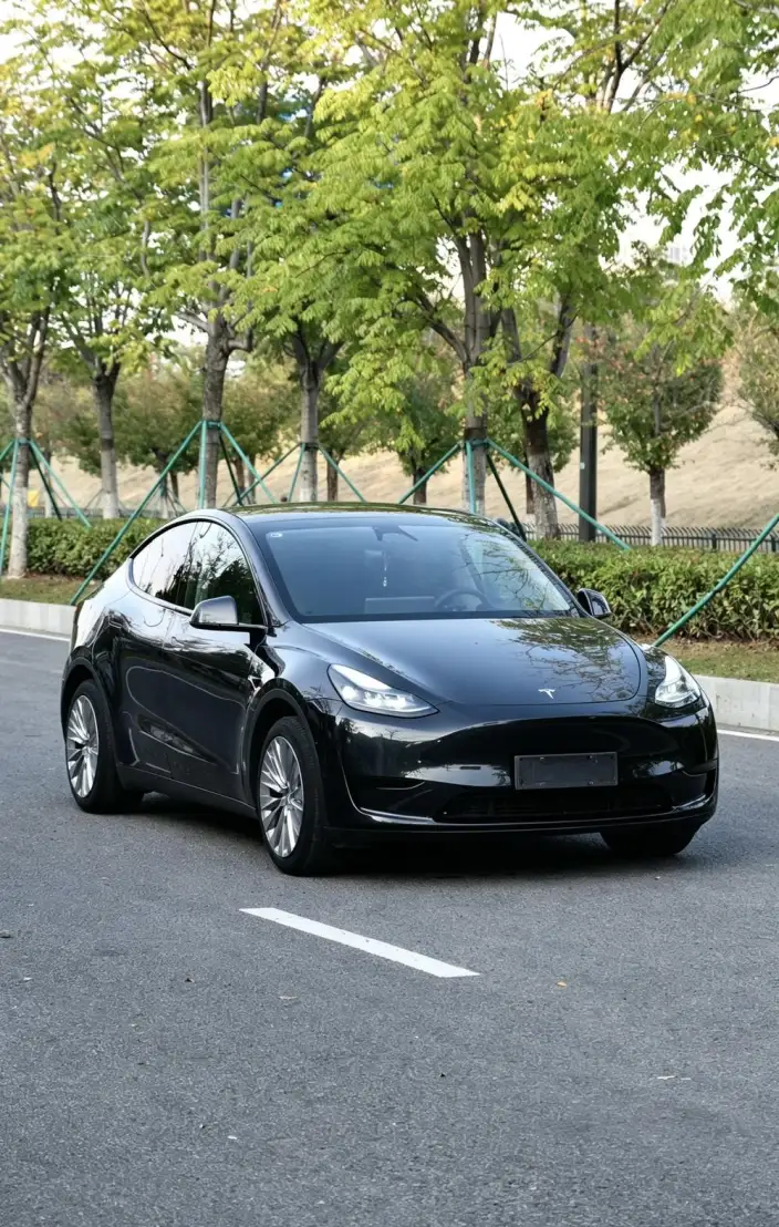 Model Y 2024 Model Rear-wheel drive version – фото 3