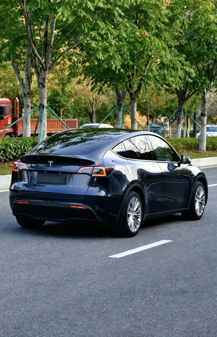 Model Y 2024 Model Rear-wheel drive version – фото 6