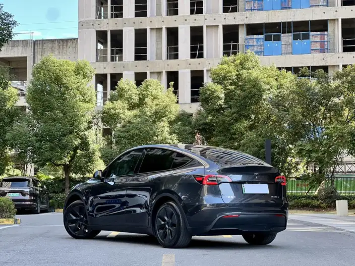 Model Y 2024 Model Rear-wheel drive version – фото 4