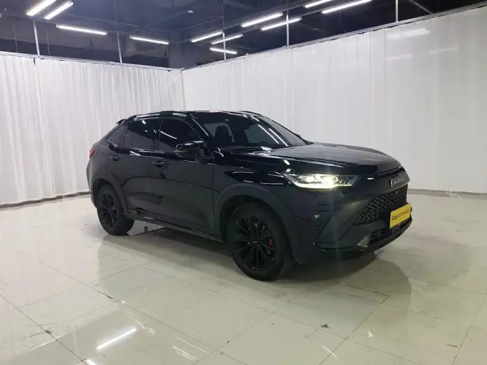 Haval H6S 2022 Model 2.0T Smart Run Edition – фото 3