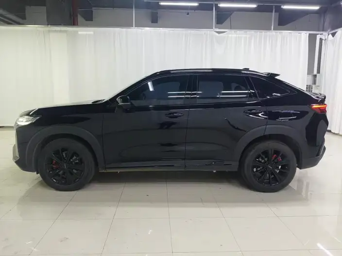 Haval H6S 2022 Model 2.0T Smart Run Edition – фото 4