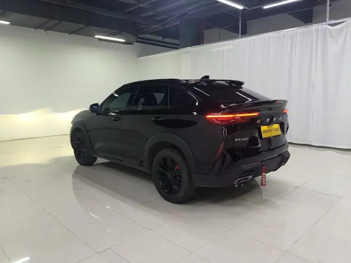 Haval H6S 2022 Model 2.0T Smart Run Edition – фото 5