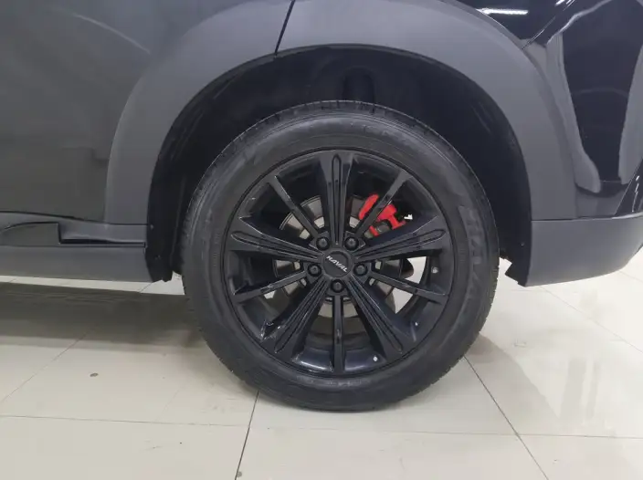 Haval H6S 2022 Model 2.0T Smart Run Edition – фото 9