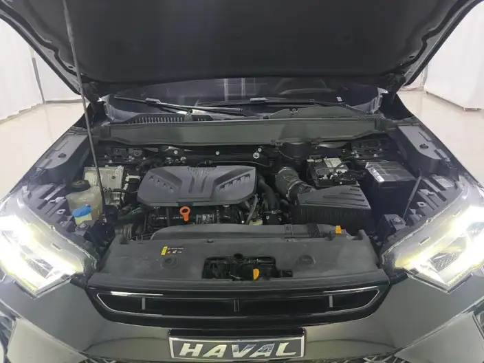 Haval H6S 2022 Model 2.0T Smart Run Edition – фото 10