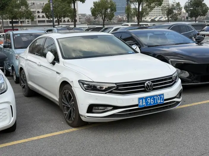 Volkswagen Magotan 2020 Model 330TSI DSG Luxury Model – фото 3