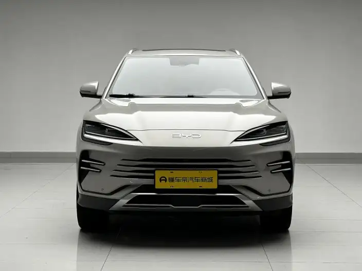 BYD Song PLUS DM 2025 Model DM-i 112KM Noble Model – фото 2