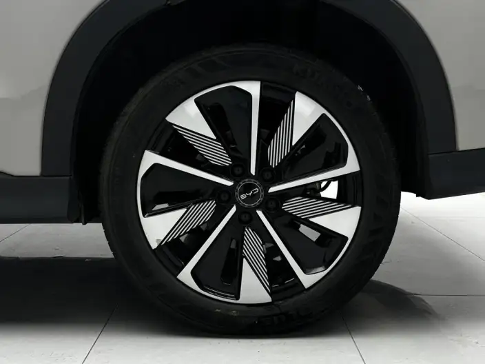 BYD Song PLUS DM 2025 Model DM-i 112KM Noble Model – фото 9