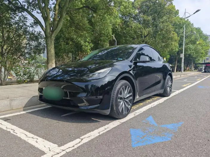Model Y 2022 Model Long Battery Life Pro All-wheel drive version – фото 1