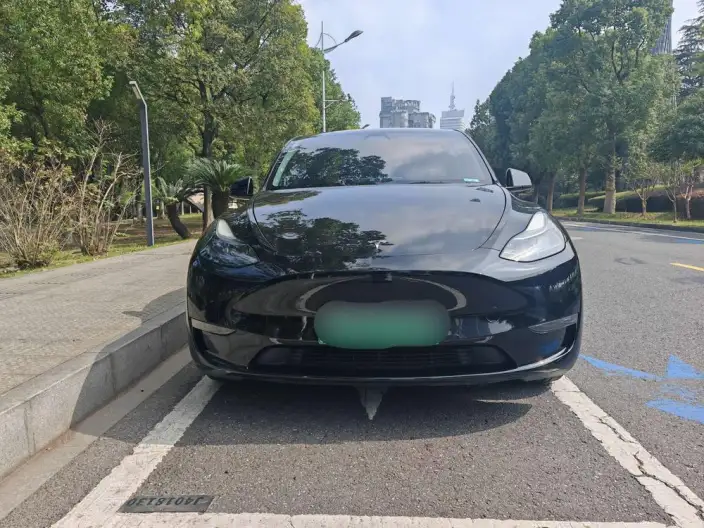 Model Y 2022 Model Long Battery Life Pro All-wheel drive version – фото 2