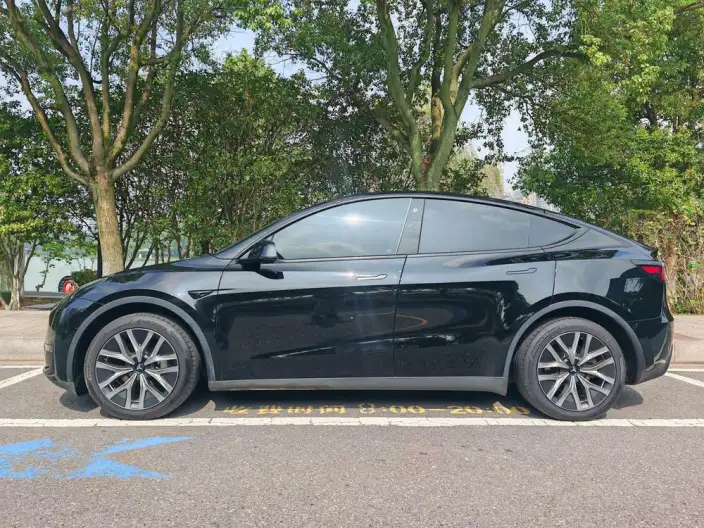 Model Y 2022 Model Long Battery Life Pro All-wheel drive version – фото 3