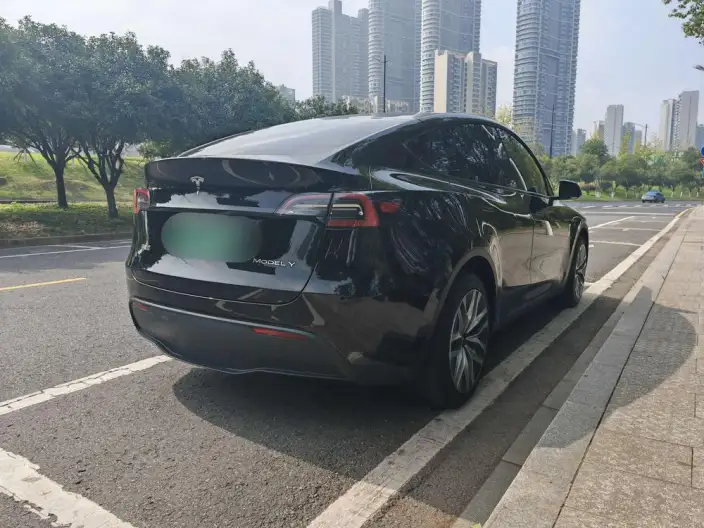 Model Y 2022 Model Long Battery Life Pro All-wheel drive version – фото 4