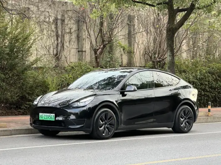 Model Y 2023 Model Rear-wheel drive version – фото 1