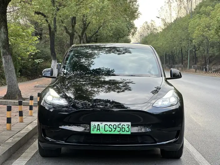 Model Y 2023 Model Rear-wheel drive version – фото 2