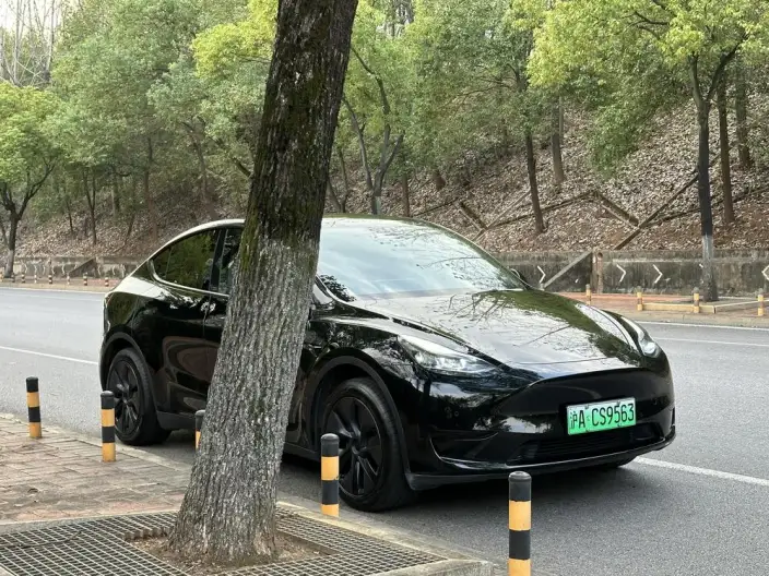 Model Y 2023 Model Rear-wheel drive version – фото 3