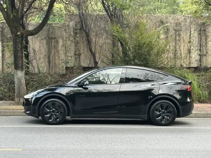 Model Y 2023 Model Rear-wheel drive version – фото 4