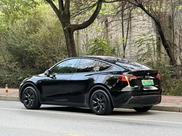 Model Y 2023 Model Rear-wheel drive version – фото 5