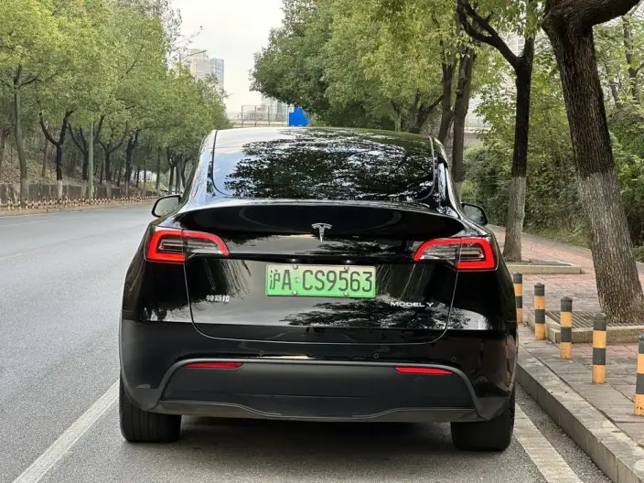 Model Y 2023 Model Rear-wheel drive version – фото 6