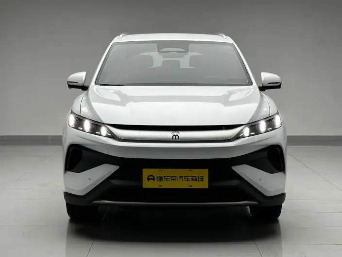 BYD Song Pro DM 2025 Model Second generation Smart Driving Edition DM-i 75KM Leading Model – фото 2