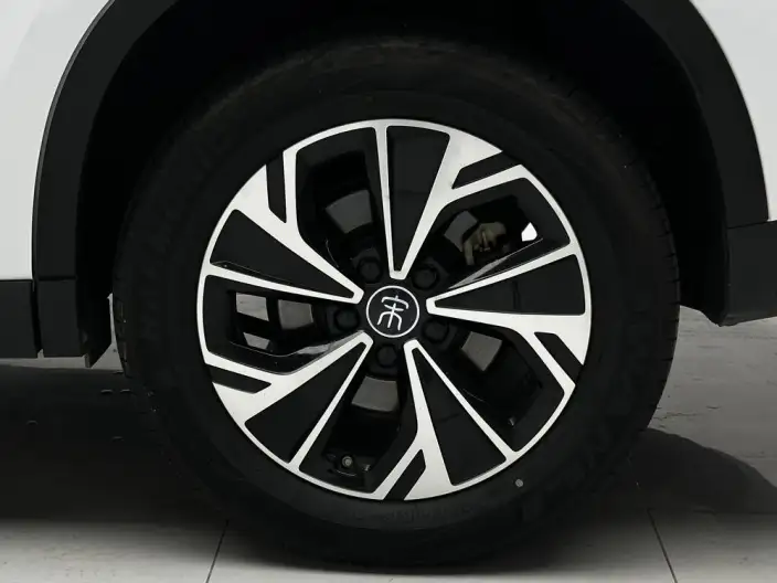 BYD Song Pro DM 2025 Model Second generation Smart Driving Edition DM-i 75KM Leading Model – фото 9