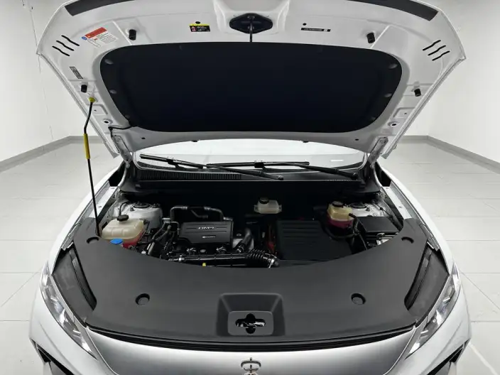 BYD Song Pro DM 2025 Model Second generation Smart Driving Edition DM-i 75KM Leading Model – фото 10