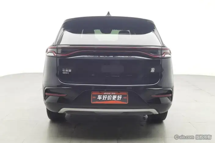 BYD Tang DM 2021 Model DM-i 1.5T 112KM Zunrong Model – фото 3