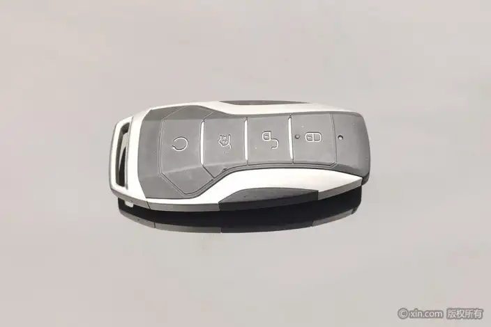 BYD Tang DM 2021 Model DM-i 1.5T 112KM Zunrong Model – фото 6
