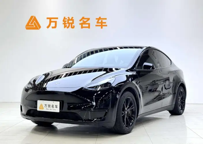 Model Y 2022 Model Facelift Rear-wheel drive version – фото 1